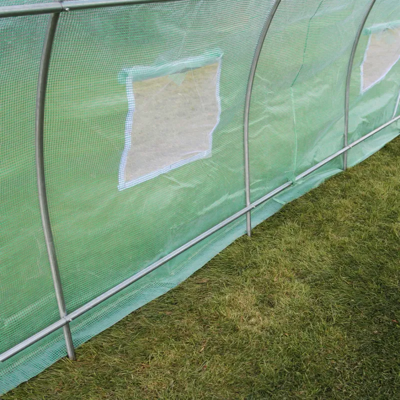 Gewächshaus Polytunnel mit Regalen – 6 x 3 m, 25 mm Stahlrahmen, PE-Abdeckung