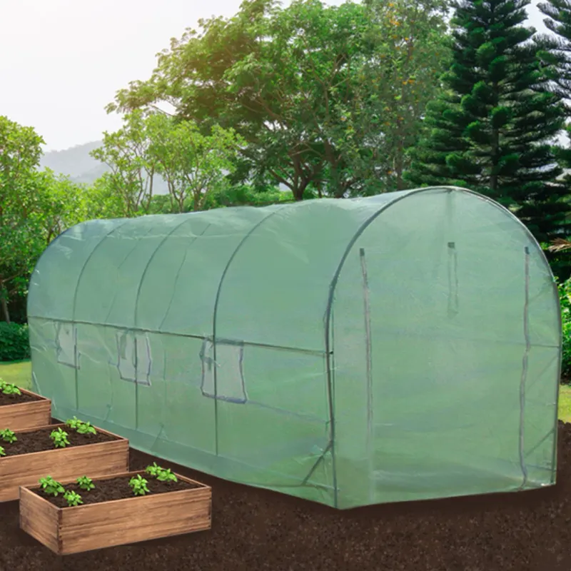 Polytunnel Gewächshaus mit Regalen – 5 x 2 m, 19 mm Stahlrahmen, wetterfeste PE-Abdeckung