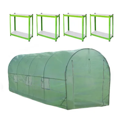 Polytunnel Gewächshaus mit Regalen – 5 x 2 m, 19 mm Stahlrahmen, wetterfeste PE-Abdeckung
