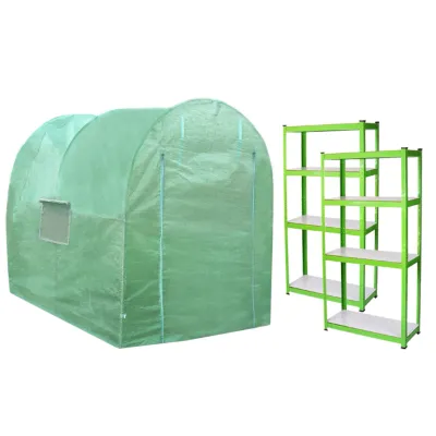 Polytunnel Gewächshaus mit Regalen – 3 x 2 m, 19 mm Stahlrahmen, wetterfeste PE-Abdeckung