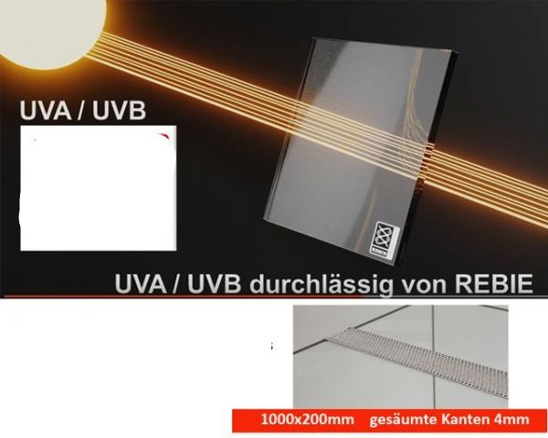 TerraClear‑Glas® 1000 x 200 mm, gesäumt, 4 mm – UVA/UVB‑durchlässiges Spezialglas von REBIE