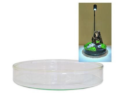 Wabi‑Kusa Glas‑Schale 14 cm x 2,5 cm – formschönes Aquascaping‑Gefäss, kompatibel mit Bioloark Beleuchtung