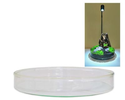 Wabi‑Kusa Glas‑Schale 15 cm x 2 cm – formschönes Aquascaping‑Gefäss, kompatibel mit Bioloark Beleuchtung