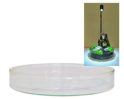 Wabi‑Kusa Glas‑Schale 16,5 cm x 3 cm – formschönes Aquascaping‑Gefäss, kompatibel mit Bioloark Beleuchtung