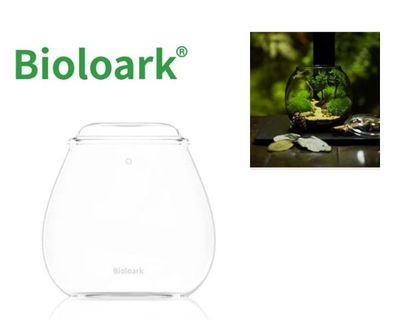 Bioloark Bubble Cup FOUR – Wabi‑Kusa Glas mit Deckel, Belüftungsbohrung, Anti‑Beschlag, Ø 155 mm, H 115 mm