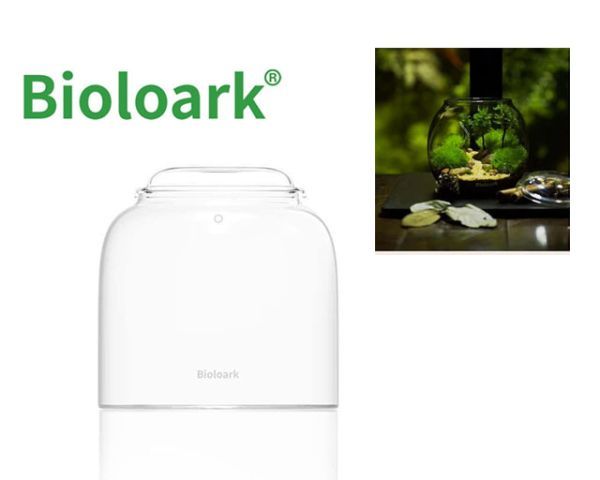 Bioloark Bubble Cup ONE – Wabi‑Kusa Glas mit Deckel, Belüftungsbohrung, Anti‑Beschlag