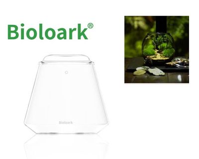 Bioloark Bubble Cup TWO – Wabi‑Kusa Glas mit Deckel, Belüftungsbohrung, Anti‑Beschlag