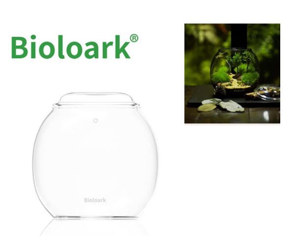 Bioloark Bubble Cup THREE – Wabi‑Kusa Glas mit Deckel, Belüftungsbohrung, Anti‑Beschlag