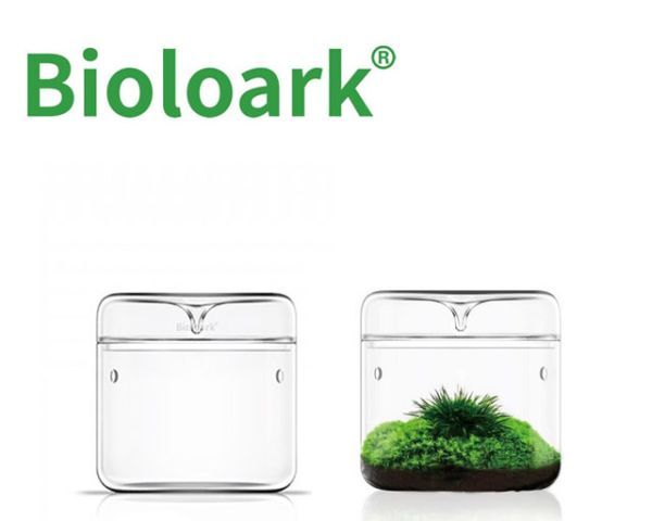 Bioloark Luji Glass Cup MY‑120 – Wabi‑Kusa Glas, Ø 120 mm, H 120 mm, 1 L, 3 mm Glas, mit Lüftung &amp; Kondensatablauf