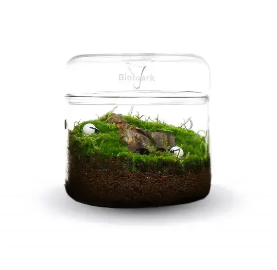 Bioloark Luji Glass Cup MY‑150 – Wabi‑Kusa Glas, Ø 150 mm, H 160 mm, 2 L, 3 mm Glas, mit Lüftung & Kondensatablauf