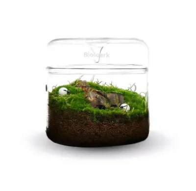 Bioloark Luji Glass Cup MY‑150 – Wabi‑Kusa Glas, Ø 150 mm, H 160 mm, 2 L, 3 mm Glas, mit Lüftung & Kondensatablauf