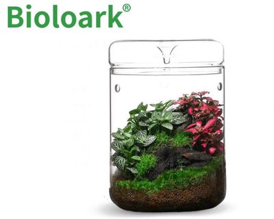 Bioloark Luji Glass Cup MY‑120H – Wabi‑Kusa Glas, Ø 120 mm, H 175 mm, 1,8 L, 3 mm Glas, mit Lüftung &amp; Kondensatablauf