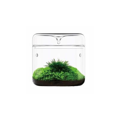 Bioloark Luji Glass Cup MY‑150H – Wabi‑Kusa Glas, Ø 150 mm, H 235 mm, 4 L, 3 mm Glas, mit Lüftung & Kondensatablauf