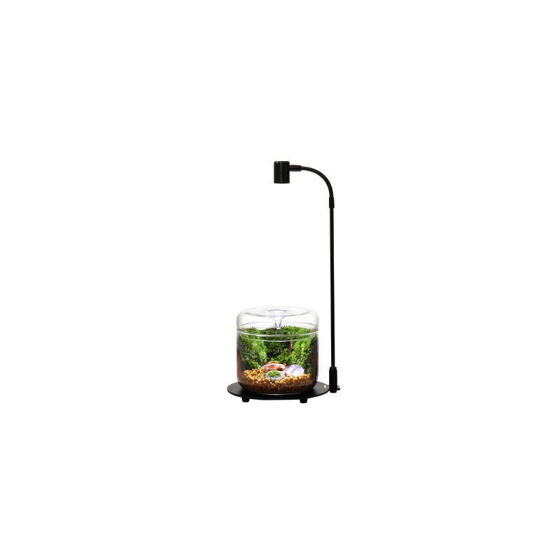 Bioloark Luji Glass Cup MY‑180H – Wabi‑Kusa Glas, Ø 180 mm, H 255 mm, 6,5 L, 3 mm Glas, mit Lüftung & Kondensatablauf