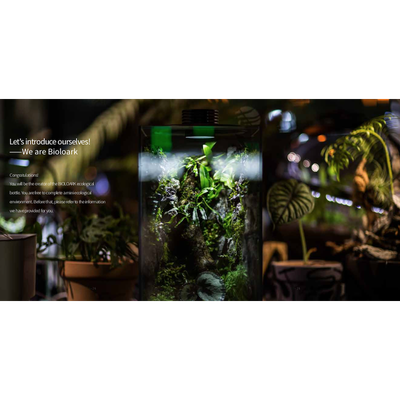 Bioloark Bio Bottle QD172 – Wabi‑Kusa Mini‑Terrarium mit integrierter LED & Lüftung
