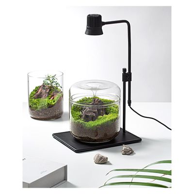 Bioloark Wabi‑Kusa DX‑5B LED (schwarz) – 5 W, 7500–8000 K, höhenverstellbar, für Luji Glass Cup, USB 5 V/1 A