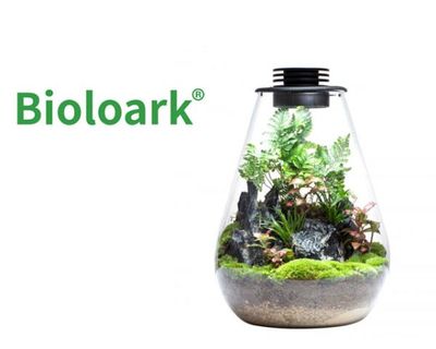 Bioloark Bio Bottle SD175 – Wabi‑Kusa Mini‑Terrarium mit integrierter LED &amp; Lüftung