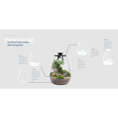 Bioloark Bio Bottle SD175 – Wabi‑Kusa Mini‑Terrarium mit integrierter LED &amp; Lüftung