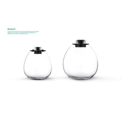 Bioloark Bio Bottle PD170 – Wabi‑Kusa Mini‑Terrarium mit integrierter LED &amp; Lüftung