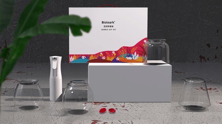 Bioloark Wabi‑Kusa Set / Geschenk-Box LH‑01 – Bubble Cup ONE–FOUR + Micro‑Sprühflasche GY‑200