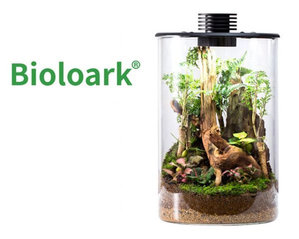 Bioloark Bio Bottle ZD150 – Wabi‑Kusa Mini‑Terrarium mit integrierter LED &amp; Lüftung