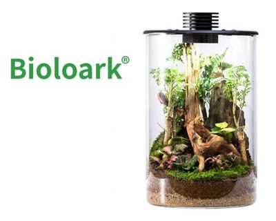 Bioloark Bio Bottle ZD150 – Wabi‑Kusa Mini‑Terrarium mit integrierter LED &amp; Lüftung