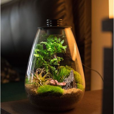 Bioloark Bio Bottle SD200 – Wabi‑Kusa Mini‑Terrarium mit integrierter LED & Lüftung
