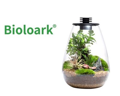 Bioloark Bio Bottle SD200 – Wabi‑Kusa Mini‑Terrarium mit integrierter LED &amp; Lüftung