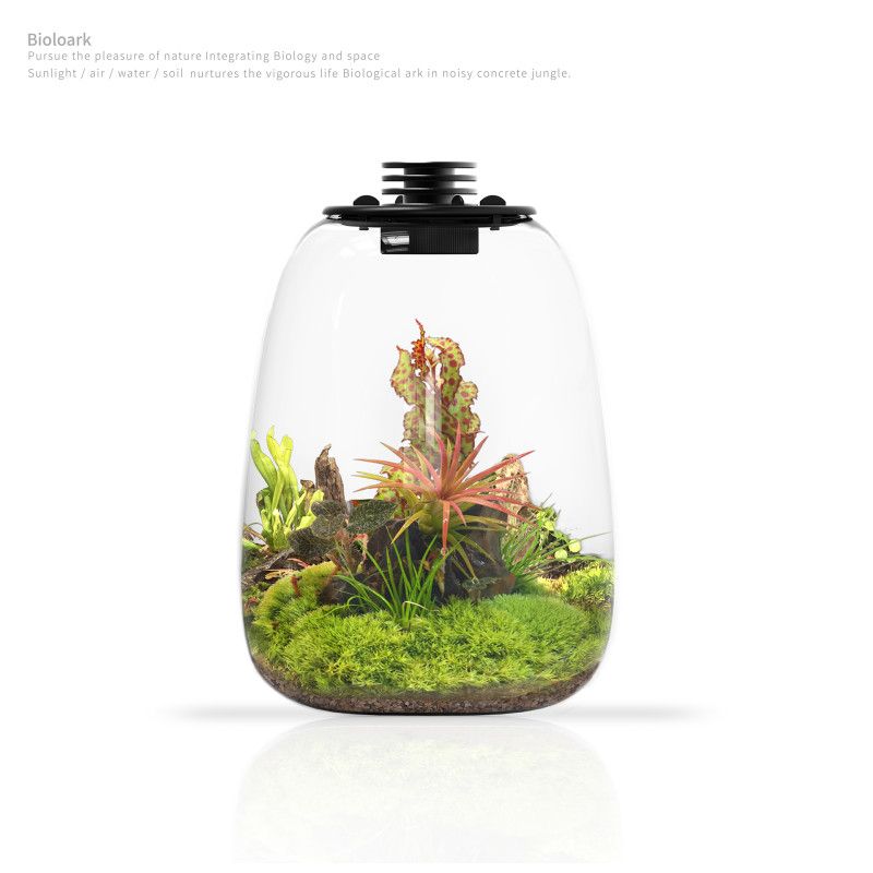 Bioloark Bio Bottle QD205 – Wabi‑Kusa Mini‑Terrarium mit integrierter LED & Lüftung