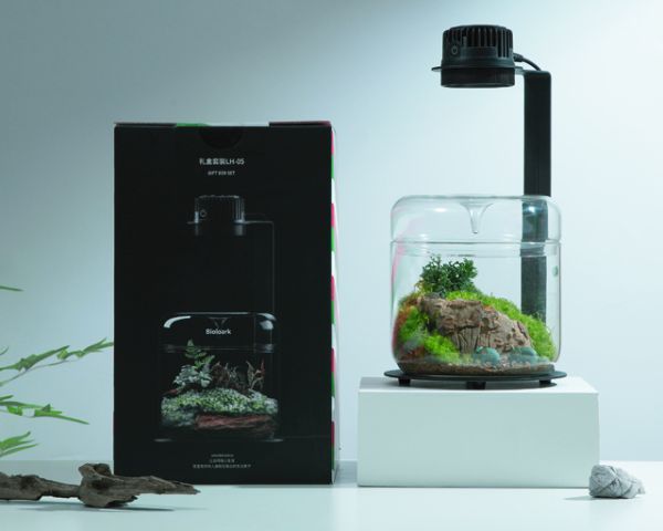 Bioloark Wabi‑Kusa Set / Gift Box LH‑05 – LED Lampe TF‑05, 5 W, 30,5 x 16,5 cm, wachstumsförderndes Lichtspektrum