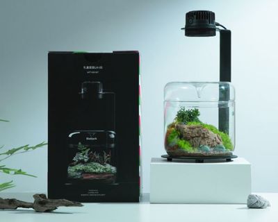 Bioloark Wabi‑Kusa Set / Gift Box LH‑05 – LED Lampe TF‑05, 5 W, 30,5 x 16,5 cm, wachstumsförderndes Lichtspektrum