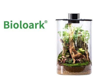Bioloark Bio Bottle ZD200 – Wabi‑Kusa Mini‑Terrarium mit integrierter LED &amp; Lüftung