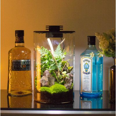 Bioloark Bio Bottle ZD200 – Wabi‑Kusa Mini‑Terrarium mit integrierter LED & Lüftung