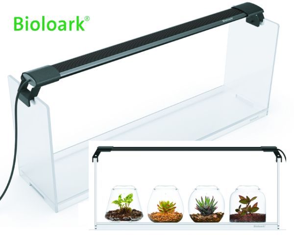 Bioloark Wabi‑Kusa Set / Gift Box LH‑02 – 4 Bubble Cups, Acryl‑Stand + LED‑Leiste, 62 x 15 x 27 cm, 10 W