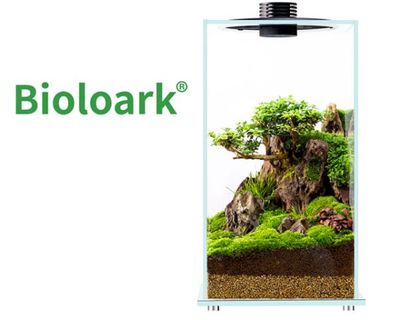 Bioloark Bio Bottle FD250 – Wabi‑Kusa Mini Aqua‑Terrarium mit LED, verstellbarer Lüftung, 25 x 25 x 47 cm