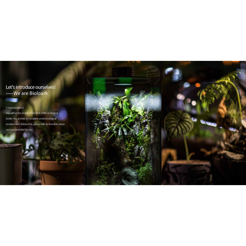 Bioloark Bio Bottle FD250 – Wabi‑Kusa Mini Aqua‑Terrarium mit LED, verstellbarer Lüftung, 25 x 25 x 47 cm
