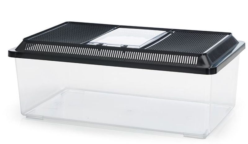 Fauna Box Low 18 L – Transparentes Terrarium/Transportbox von Savic, mit Lüftung und Fütterungstür