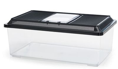 Fauna Box Low 18 L – Transparentes Terrarium/Transportbox von Savic, mit Lüftung und Fütterungstür