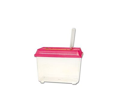 Savic Terrarium Fauna‑Box 2,5 L – 20 x 14 x 14 cm, mit Deckel &amp; Haltegriff, für Zucht/Hälterung/Transport
