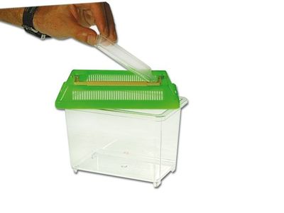 Fauna‑Box 1,5 L – 18 cm, mit Deckel &amp; Haltegriff, für Zucht, Hälterung &amp; Transport