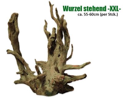 Terrarium Deko – Stehende Echtholz‑Wurzel XXL, ca. 55–60 cm Höhe (Einzelstück)