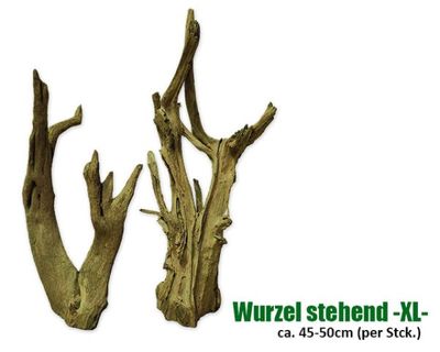 Terrarium Deko – Stehende Echtholz‑Wurzel XL, ca. 45–50 cm Höhe (Einzelstück)