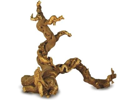 Terrarium Dekoration – WEINREBE L – Natürliches Deko‑Holz für Terrarien, Kletter‑ &amp; Sonnenplatz, Unikat
