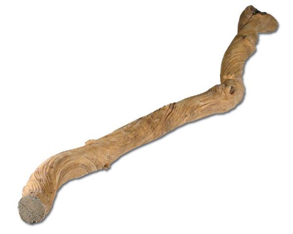 Edel‑Liane 6–8 cm x 100 cm – natürliche Terrarium‑Dekoration, Kletter‑ &amp; Sonnenplatz