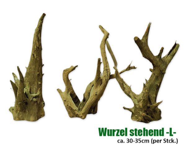 Terrarium Deko – Stehende Echtholz‑Wurzel L, ca. 30–35 cm Höhe (Einzelstück)