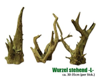 Terrarium Deko – Stehende Echtholz‑Wurzel L, ca. 30–35 cm Höhe (Einzelstück)