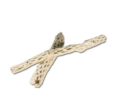 Terrarium Deko – Vuka Holz L, ca. 45–60 cm, natürlicher Kletter‑/Ansitzast, Unikat