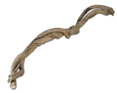 Terrarium Deko – Vuka Holz M, ca. 25–35 cm, natürlicher Kletter‑/Ansitzast, Unikat