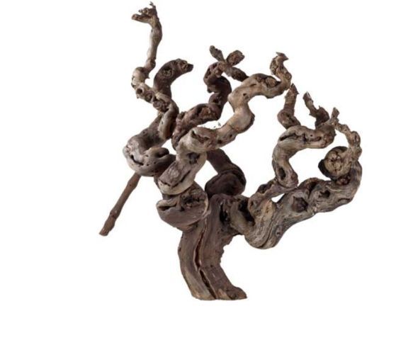 Weinrebenwurzel ca. 30 cm – sandgestrahlt, natürliche Terrarium‑Deko für kletternde Arten