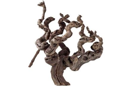 Weinrebenwurzel ca. 30 cm – sandgestrahlt, natürliche Terrarium‑Deko für kletternde Arten